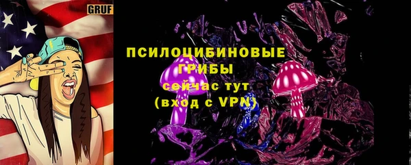 соль курить ск Белокуриха
